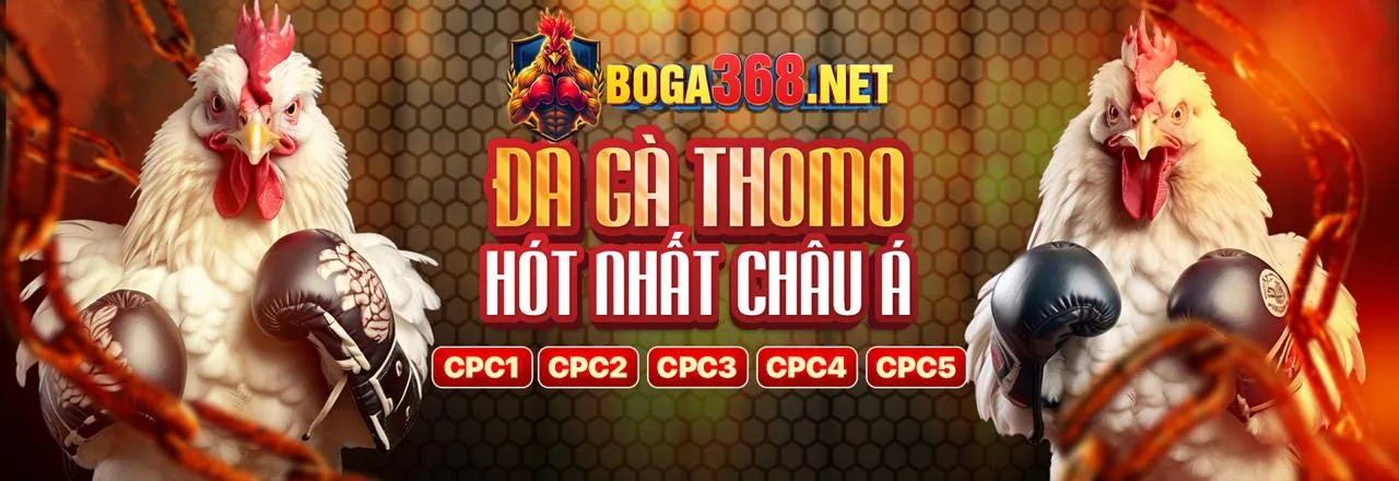 Đá Gà Trực Tuyến Hấp Dẫn tại 168f